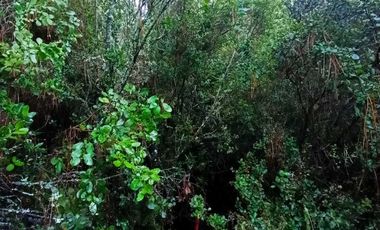 Parcela en venta en COLBÚN