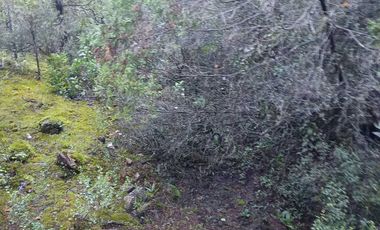 Parcela en venta en COLBÚN