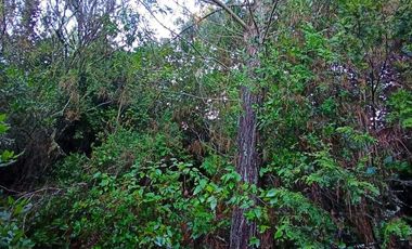 Parcela en venta en COLBÚN