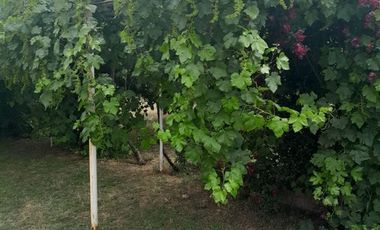 Parcela en Arriendo en Parcela en Lampa, El Molino