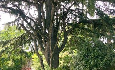 Malvinas 700 - Monte Grande