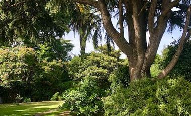 Malvinas 700 - Monte Grande