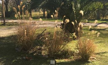 Parque Las Naciones - Guernica