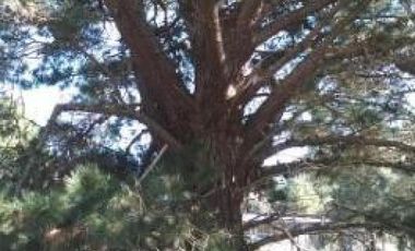 Terreno en venta - 685Mts2 - Las Gaviotas