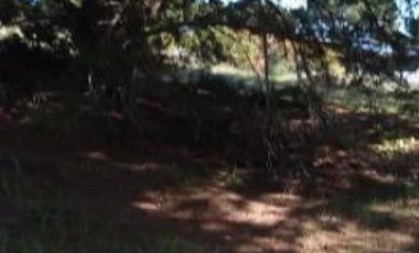 Terreno en venta - 685Mts2 - Las Gaviotas