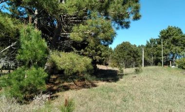 Terreno en venta - 685Mts2 - Las Gaviotas