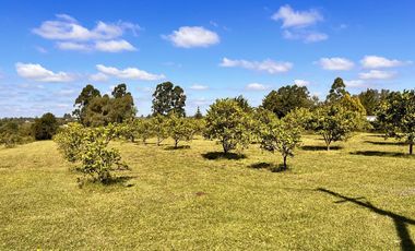 Casa de campo zona Termas San José