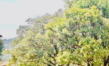 Venta Local Comercial en las Alamedas, Atizapán de Zaragoza LHV34