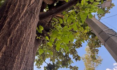 Venta Local Comercial en las Alamedas, Atizapán de Zaragoza LHV34