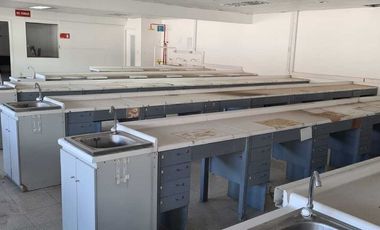 Arriendo  Locales Comerciales  Desde 330 M2    Viña Del Mar