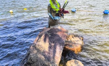 Oportunidad Única de Inversión: La Sirena Lake Lodge en Laguna Azul, Tarapoto