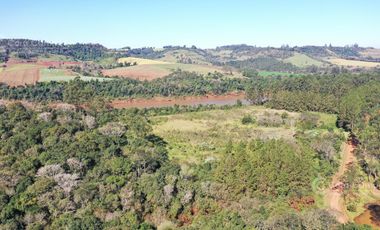 Se vende Chacra de 16ha sobre Rio Uruguay en El Soberbio, Misiones