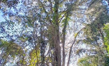 VENTA DE TERRENO DE 328 M2 IDEAL PARA DESARROLLO