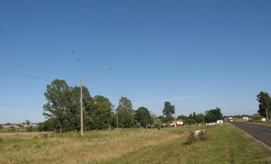 Chacra - Urdinarrain