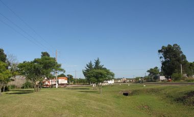 Chacra - Urdinarrain