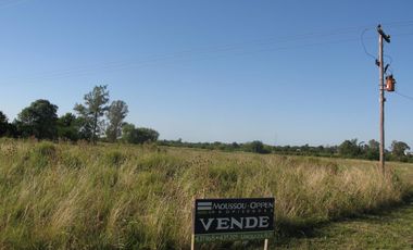 Chacra - Urdinarrain