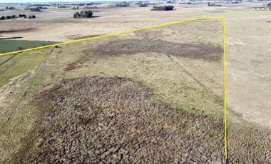 Campo de 40 hectáreas en Roque Perez