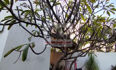 Casa en Venta en Fraccionamiento Las Fincas