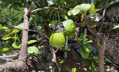 Venta Casa en zona oriente-sur de Merida