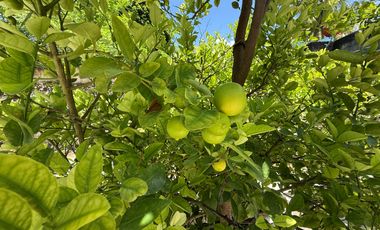 Venta Casa en zona oriente-sur de Merida