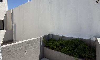 Departamento en  alquiler  - Dos Ambientes - Sin expensas