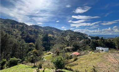 VENTA DE INCREIBLE CABAÑA UBICADA EN GUATAPÉ, CERCA DE LA PIEDRA