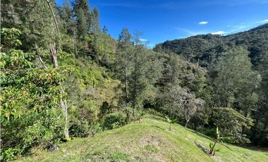 VENTA DE INCREIBLE CABAÑA UBICADA EN GUATAPÉ, CERCA DE LA PIEDRA