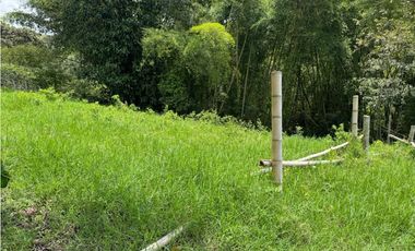 VENTA LOTES EN QUIMBAYA QUINDIO COLOMBIA-320774----
