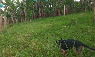 VENTA LOTES EN QUIMBAYA QUINDIO COLOMBIA-320774----