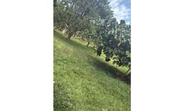 VENTA LOTES EN QUIMBAYA QUINDIO COLOMBIA-320774----