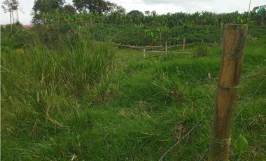 VENTA LOTES EN QUIMBAYA QUINDIO COLOMBIA-320774----