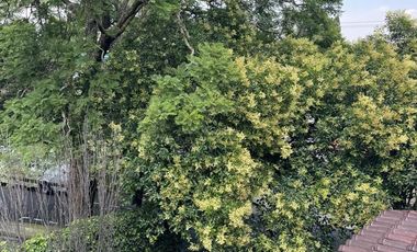 Preciosa casa super ubicada en Lomas de Chapultepec