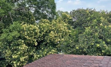 Preciosa casa super ubicada en Lomas de Chapultepec