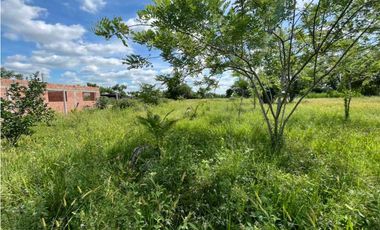 🌳 ¡Lote Campestre en Venta! 🛣 Vía Planeta Rica – Km 19