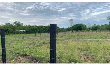 Venta de lotes de 1.000 mt2 en la Coroza Argentina.