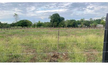 Venta de lotes de 1.000 mt2 en la Coroza Argentina.