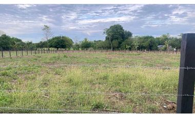 Venta de lotes de 1.000 mt2 en la Coroza Argentina.