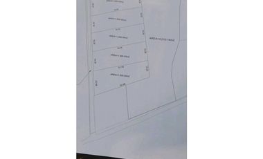 Venta de lotes de 1.000 mt2 en la Coroza Argentina.
