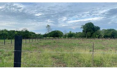 Venta de lotes de 1.000 mt2 en la Coroza Argentina.