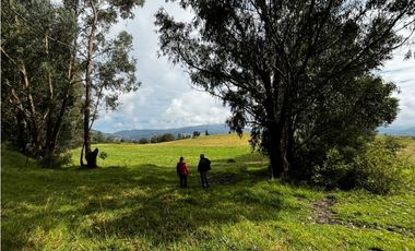 VENDO FINCA EN FACATATIVA PRECIO DE OPORTUNIDAD