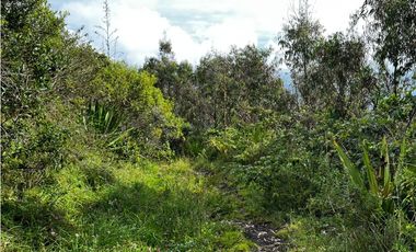 VENDO FINCA EN FACATATIVA PRECIO DE OPORTUNIDAD