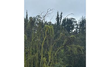 VENDO FINCA EN FACATATIVA PRECIO DE OPORTUNIDAD