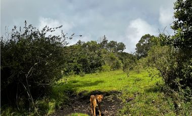 VENDO FINCA EN FACATATIVA PRECIO DE OPORTUNIDAD