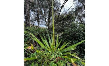 VENDO FINCA EN FACATATIVA PRECIO DE OPORTUNIDAD