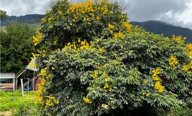 VENDO FINCA EN FACATATIVA PRECIO DE OPORTUNIDAD