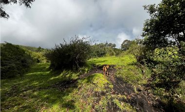 VENDO FINCA EN FACATATIVA PRECIO DE OPORTUNIDAD