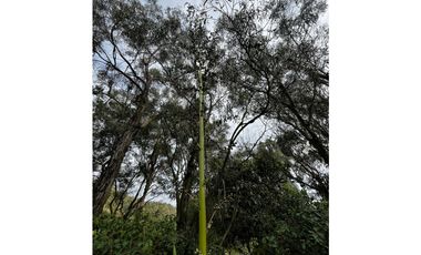 VENDO FINCA EN FACATATIVA PRECIO DE OPORTUNIDAD