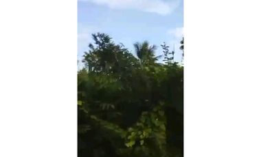 TERRENO EN VENTA EN LA CEIBITA