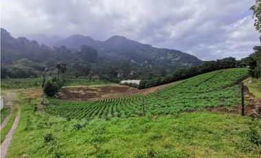 Vendo Finca en Boquete Chiriqui 2 HAS