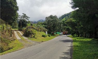 Vendo Finca en Boquete Chiriqui 2 HAS